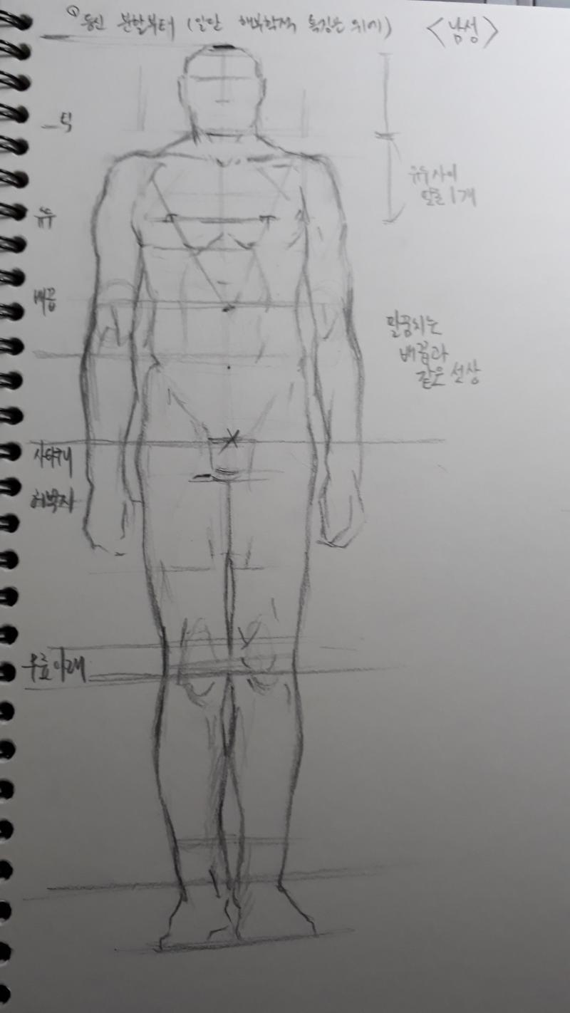 2020.12.29 화 연필로 남성 인체 잡아봄 내일은 남자 옆모습/뒷모습 시간남으면 여성 인체 다시 그려볼거 같아. 남성/여성 대략적인 거 잡