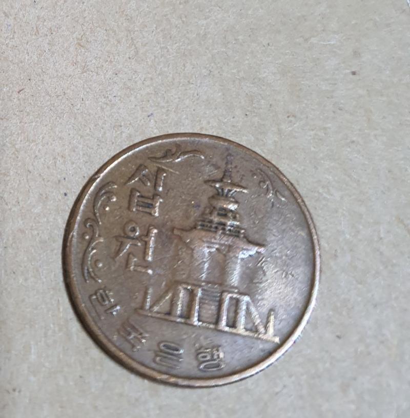 앞/뒤