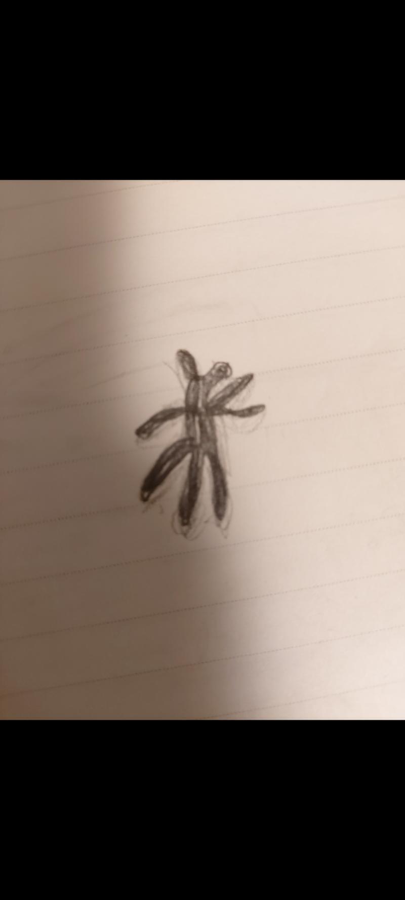 내가 본 그림자 모양이야 본 데로 그린다고 그린 건데 이상하네