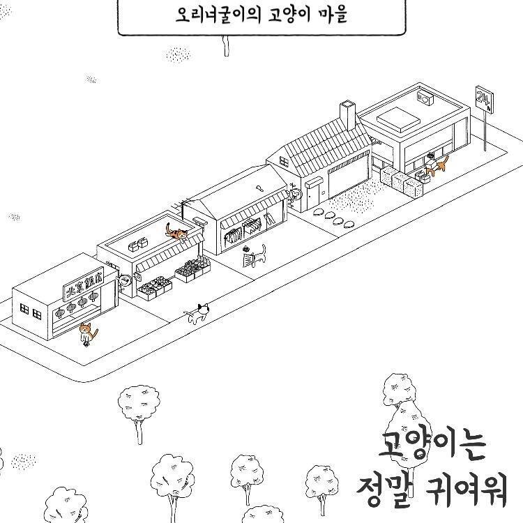 우리집 고양이들이야