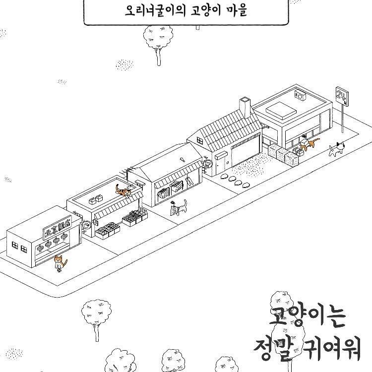 우리집 고양이들이야