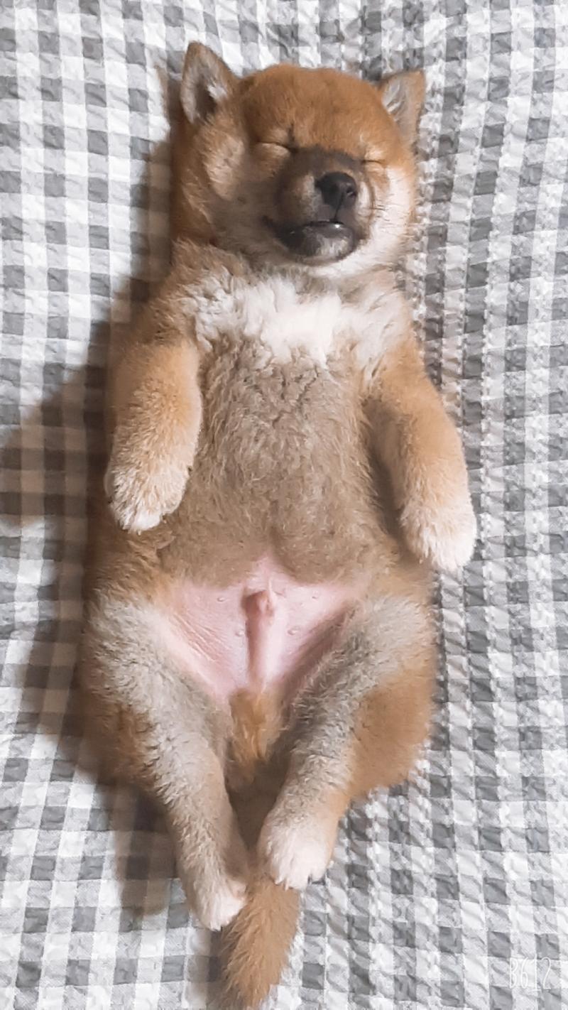 울 애기