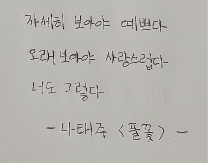 풀꽃 신청해줘서 정말 고마워!! 칭찬도 ㅎㅎ 덕분에 힘이 된 것 같아 힘내서 더 열심히 쓰고 살아갈게. 오늘 남은 하루는 레스주 덕분에 행복할