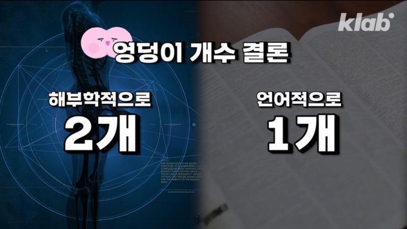 둘다 맞음