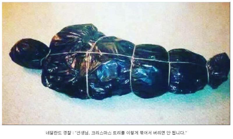 웃음의 가스가 뿜어져 나오는 방입니닼ㅋㅋㅋㅋㅋㅋㅋㅋㅋ 그 가스를 마싴ㅋㅋ 게 되면ㅋㅋㅋㅋㅋ 웃음이 절ㅋㅋㅋㅋ롴ㅋㅋㅋ 나옵니닼ㅋㅋㅋㅋㅋㅋㅋ 얼맠ㅋ