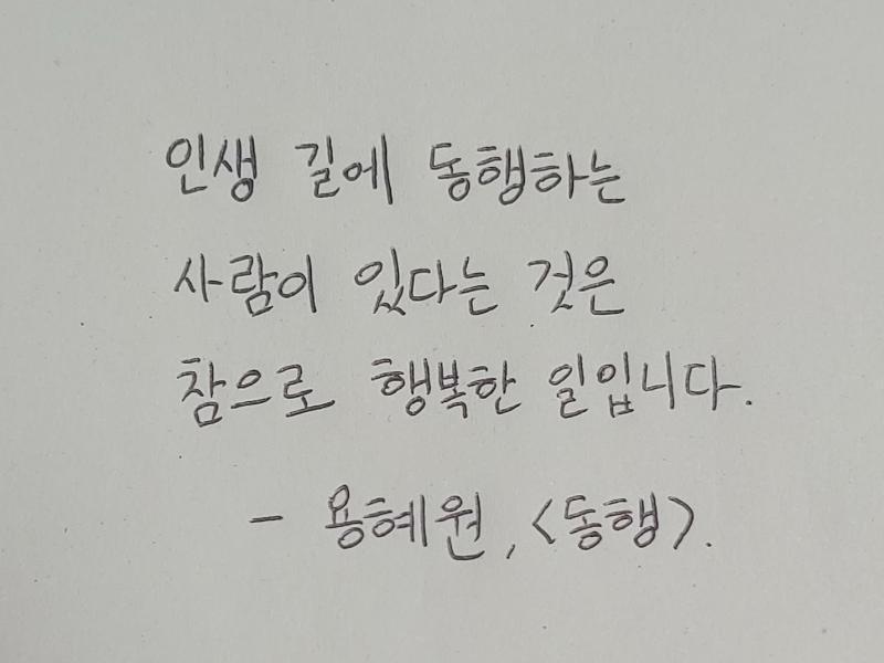 용혜원,