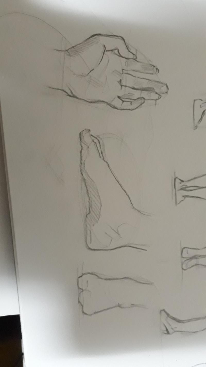 2021.01.02 토 손/발 조금밖에 못그렸어. ....ㅋ.. 내일부터 실제 사람 몸(얼굴/손/발 위주) 보고 그려보려고. (손이랑 발은 많은