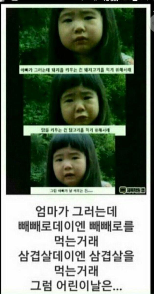 볼 게 많아... 행복해...