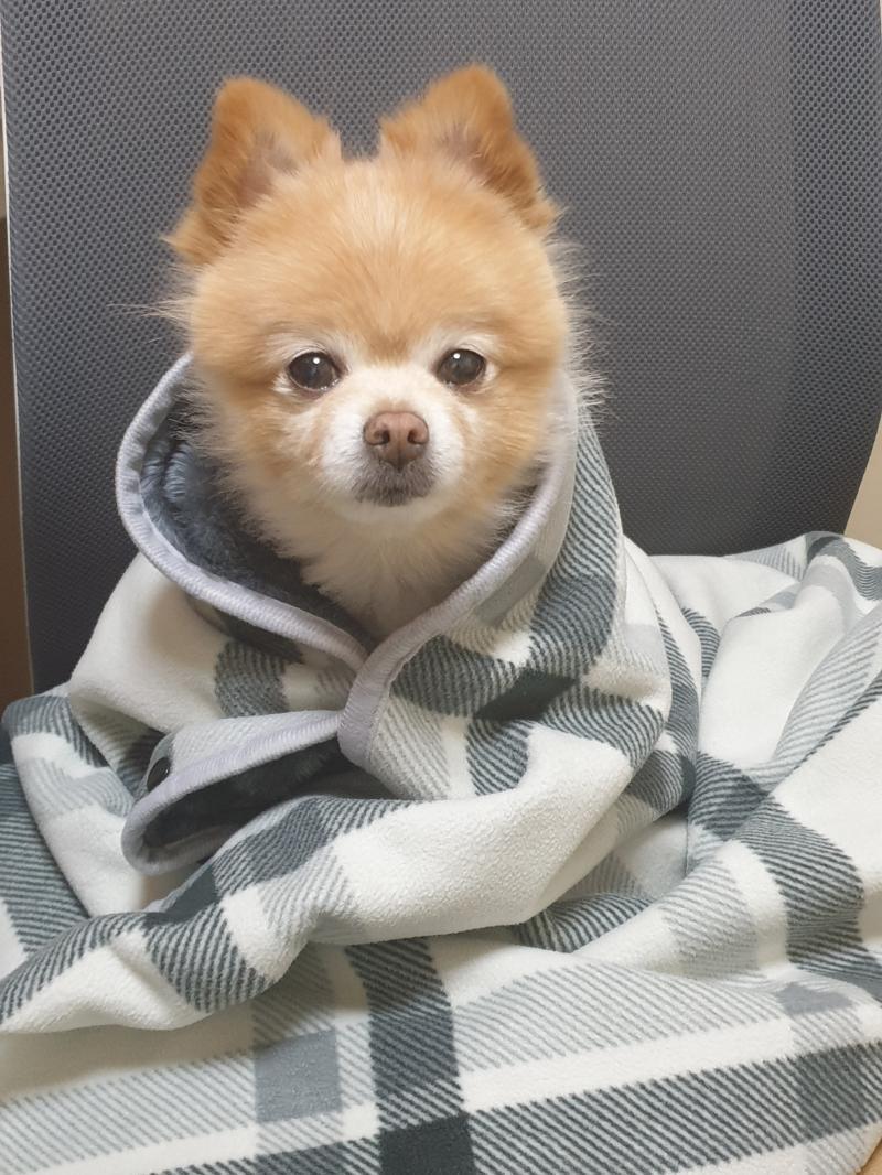 안녕 나 또왔엉 우리애기 존귀탱 다 알아줬으면