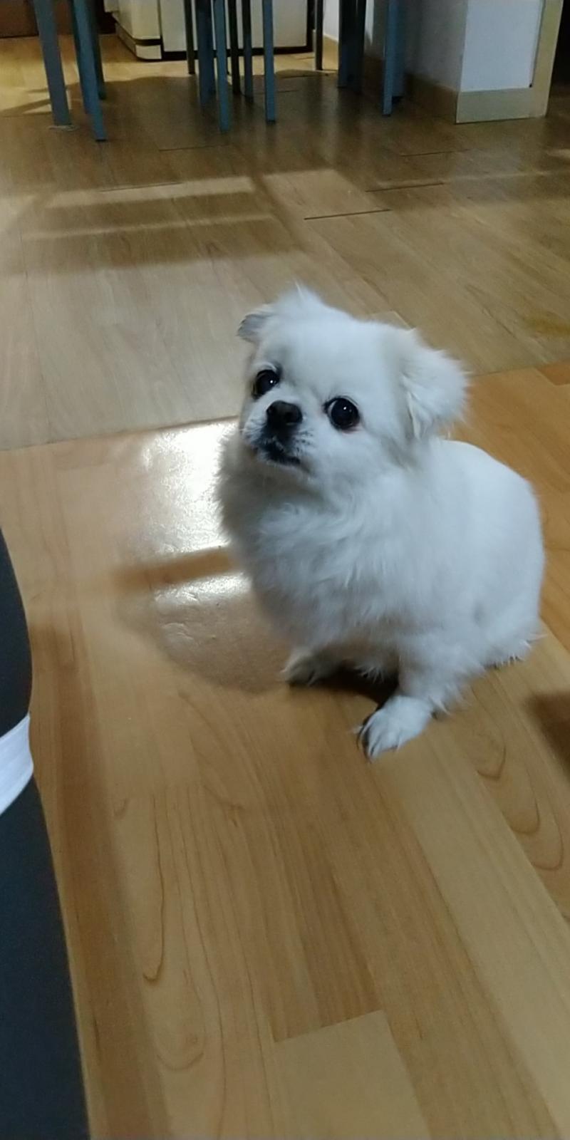 냄새 너무 나서 목욕했더니 지금 엄마를 엄청 원망하는 눈으로 보고 있어