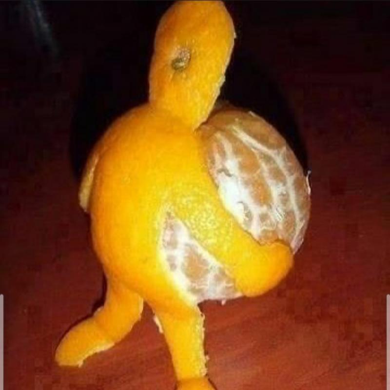 내가 생각한 건 이건데...