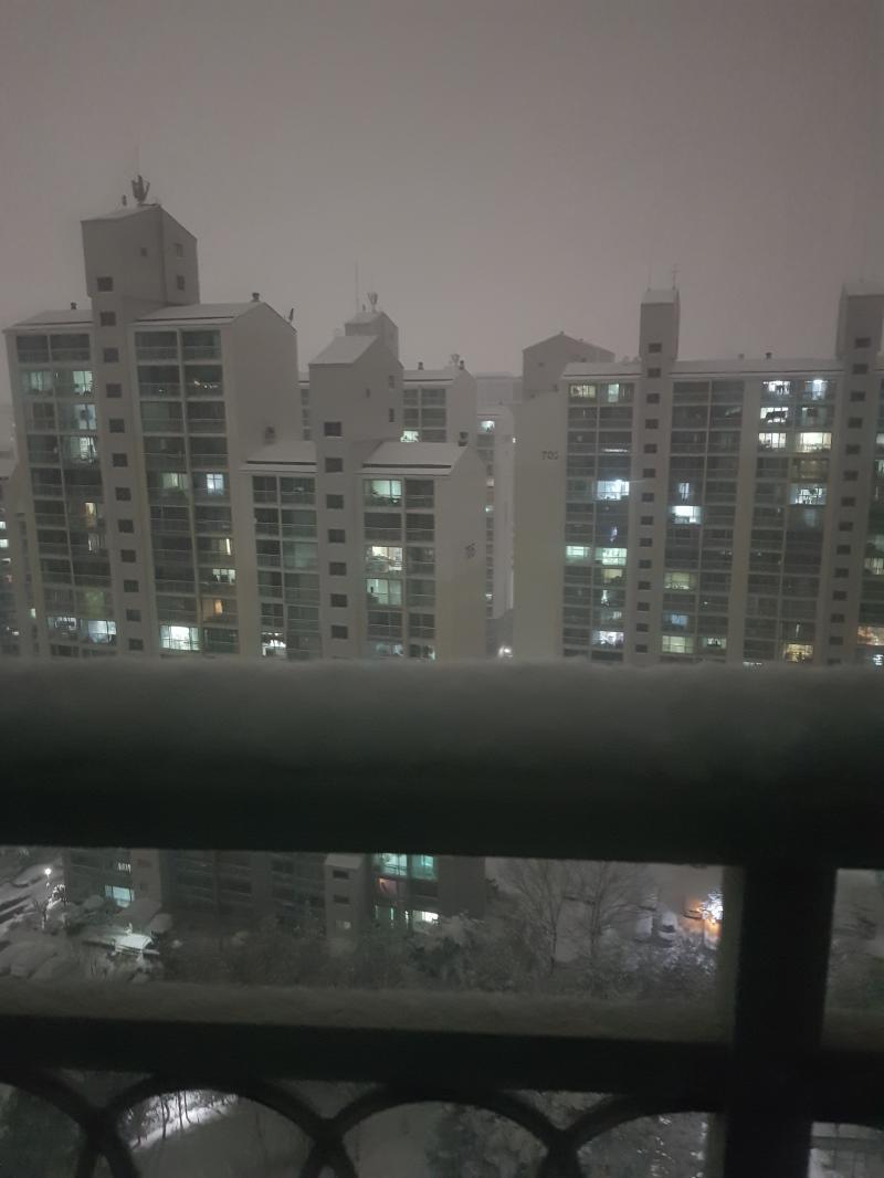 펑펑온다 밤이라 잘 안잡히네