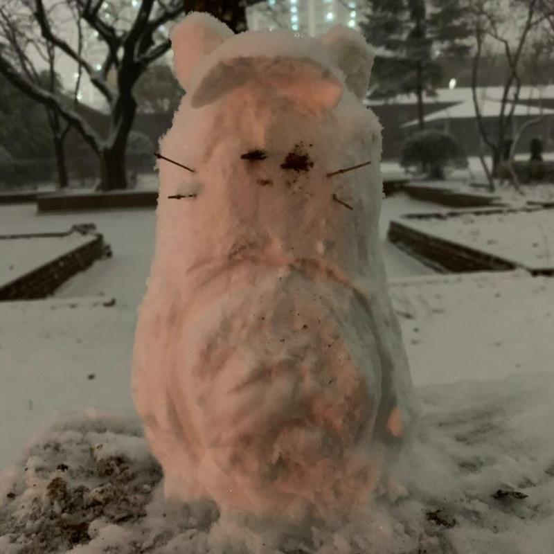 토토로 ㅎㅎ