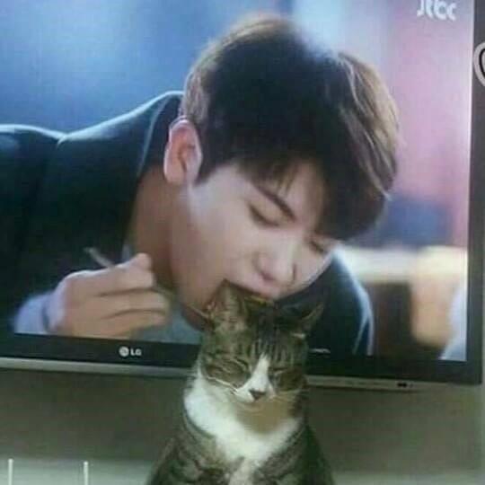 아 잘 됐다 이 남자 ㄴㄱ