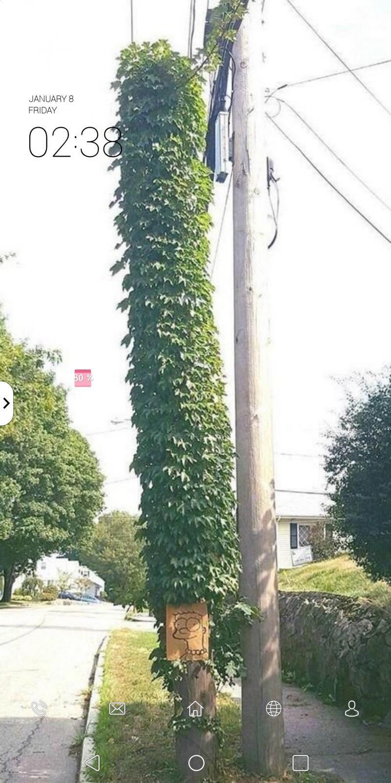 배경화면 설정하는데 앱서랍? 까지 배경화면 사진이랑 똑같이 하려면 어떻게 해야 돼?