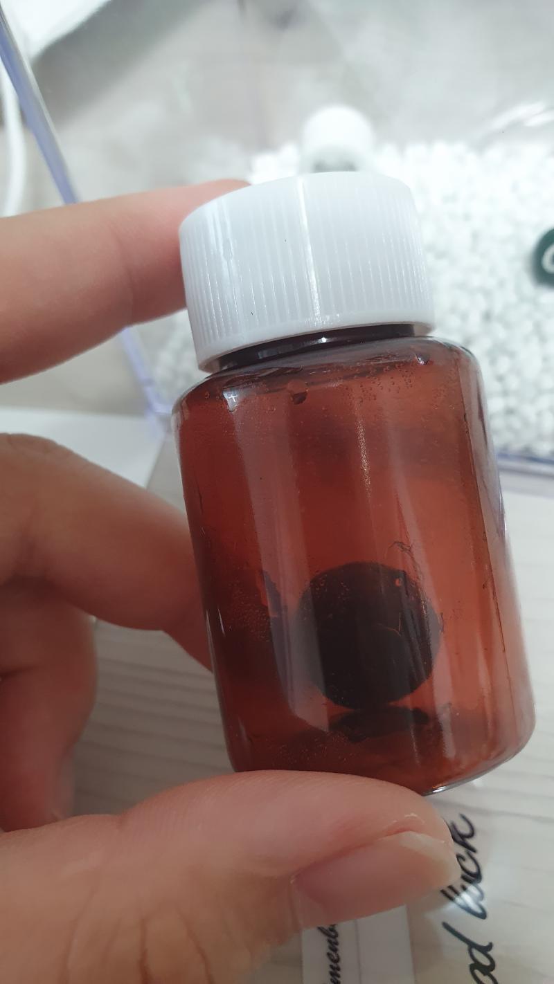 입주자를 넣을 차례.