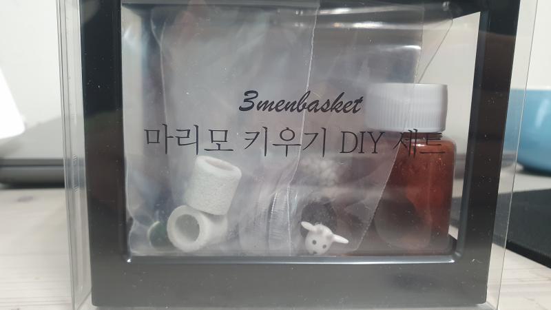 잘 컸으면 좋겠다.