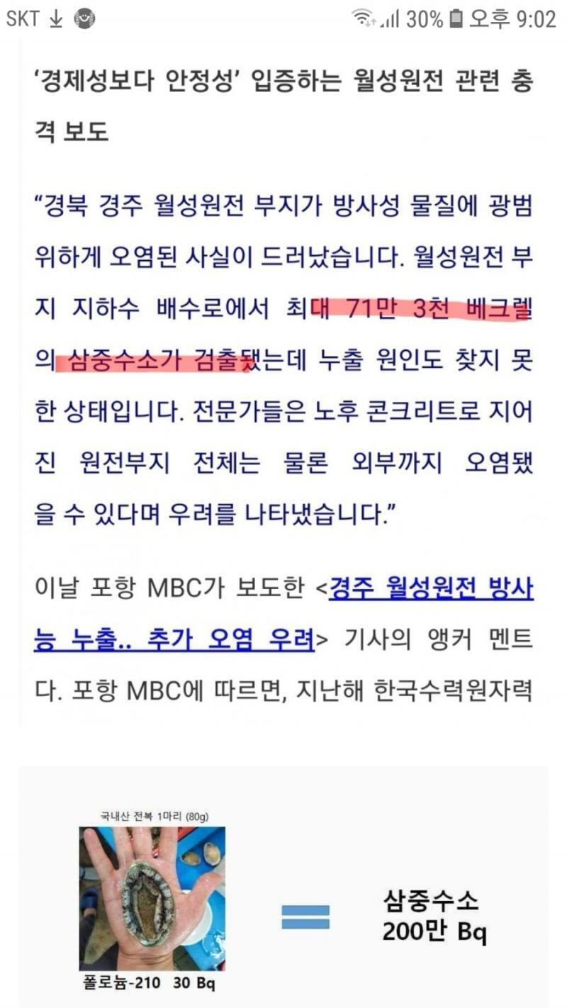 멸치 한마리 방사능이 삼중수소 몇만~몇십만 베크럴이고 이번건 월성누출사태라고 하기에도 민망함. 누가 멸치국물 버리면 그게 방사능량 더 높음 우리