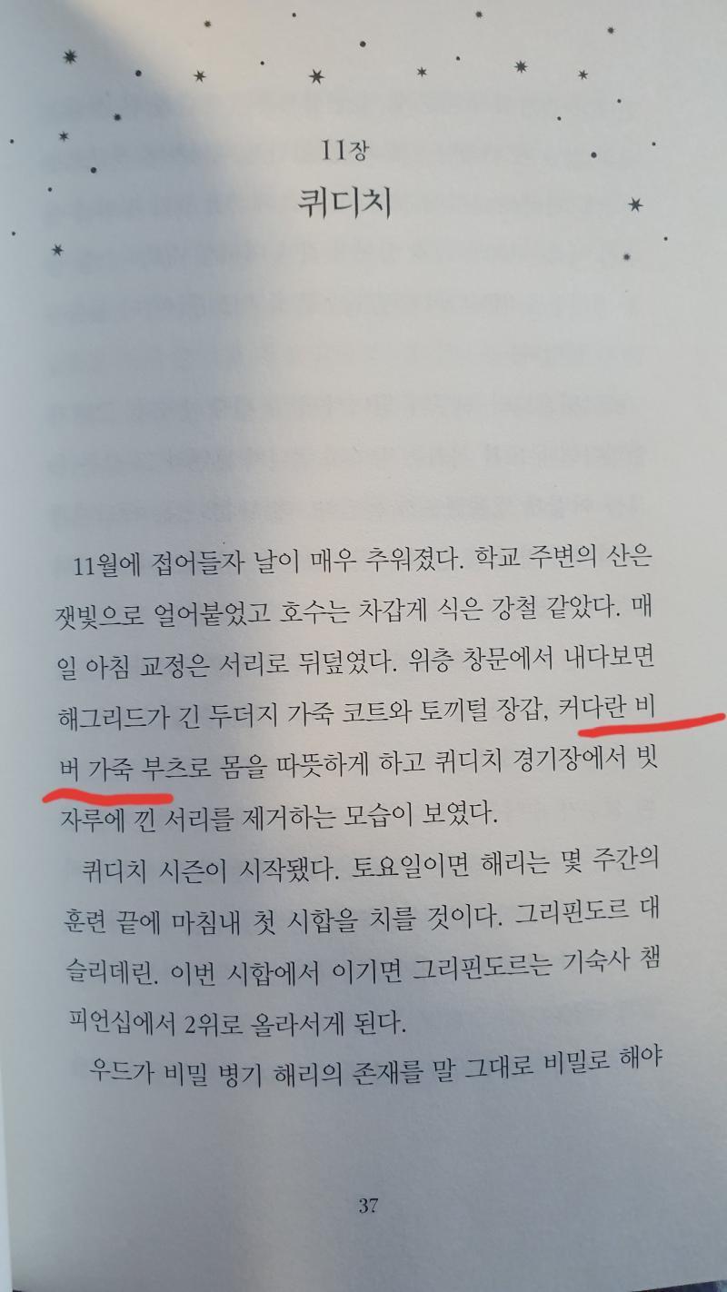 이거좀 봐라 비빕!