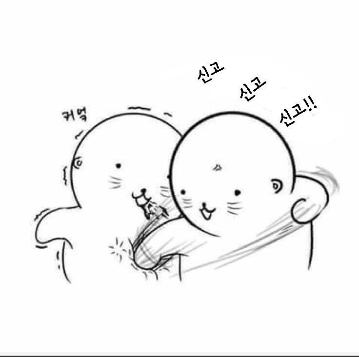 신고용