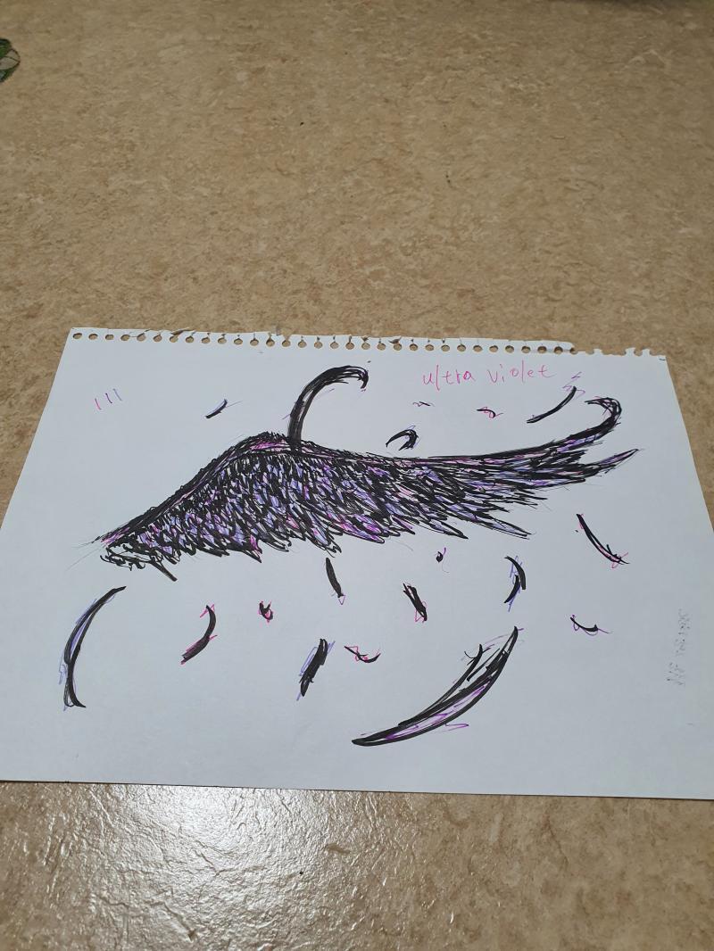 보라색에 미쳐있던 시절. 내가 가볍게 곧잘 그리는 날개로 실험해봄. 보라색 = 광기? 라는 생각을 검증해보던 걸로 기억함. 조금씩 다른 보라색을