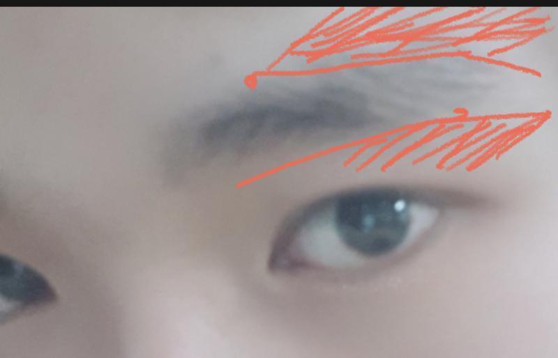사진 마음대로 저장 해서 미안ㅠㅠ 딱히 크게 지저분한건 아니라서 색칠 한 곳 보여? 저기 다듬으면 좋을 거 같은데 숱이 많은 눈썹이 아니라서 잘