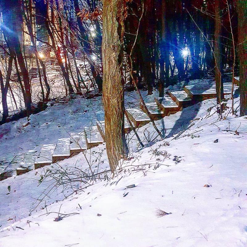 우리도 완전 비밀의 숲 같음...ㅠㅠㅜㅜㅠㅠ 산책로 짱이야 개오져 짜릿해