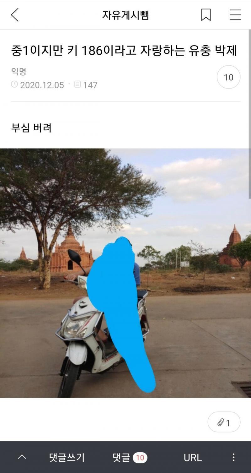 쭉빵에서 옛날에 썼던 일반인 희롱글이라더라 ㅅㅂㅋㅋ진짜 찾으면 나오네 광산이여 아주~