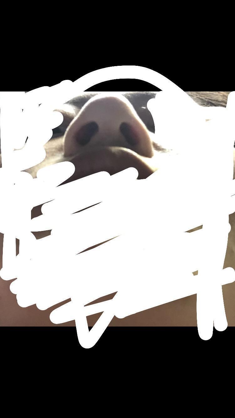 내가 제일 ㄹㅈㄷ