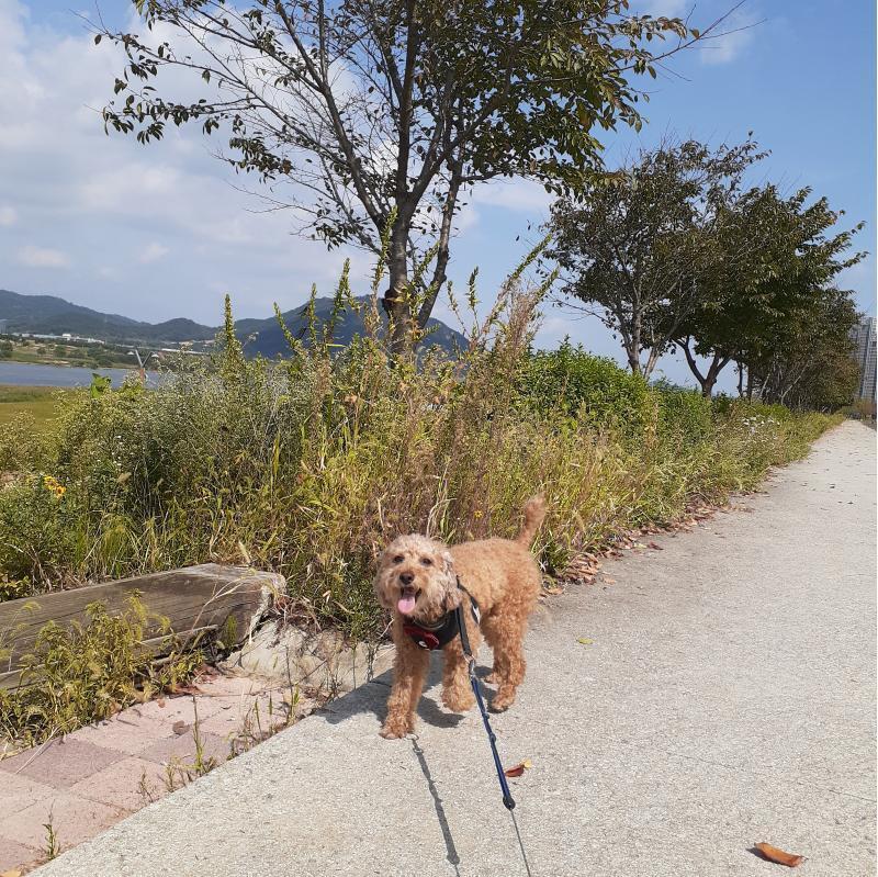 행복해하고있어ㅠㅠ