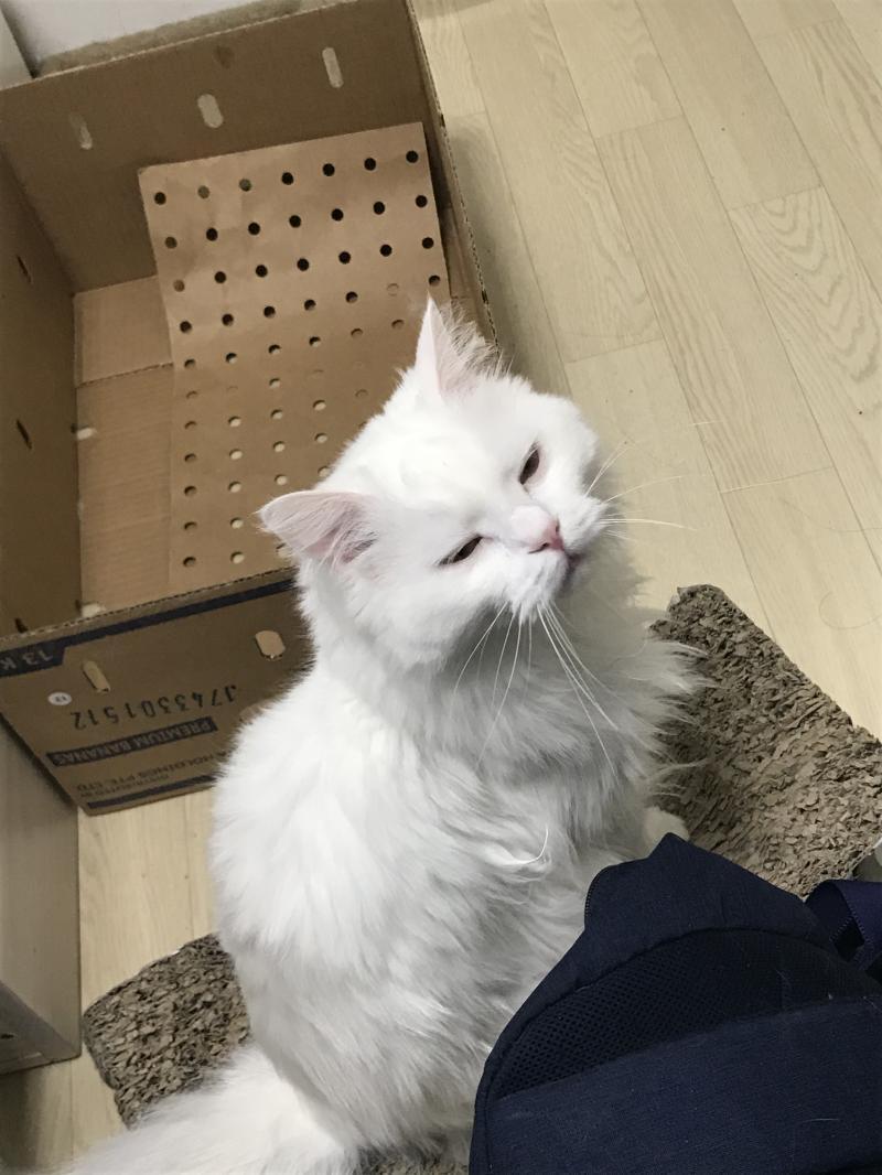 초초랑 미세..ㅋㅋㅋ