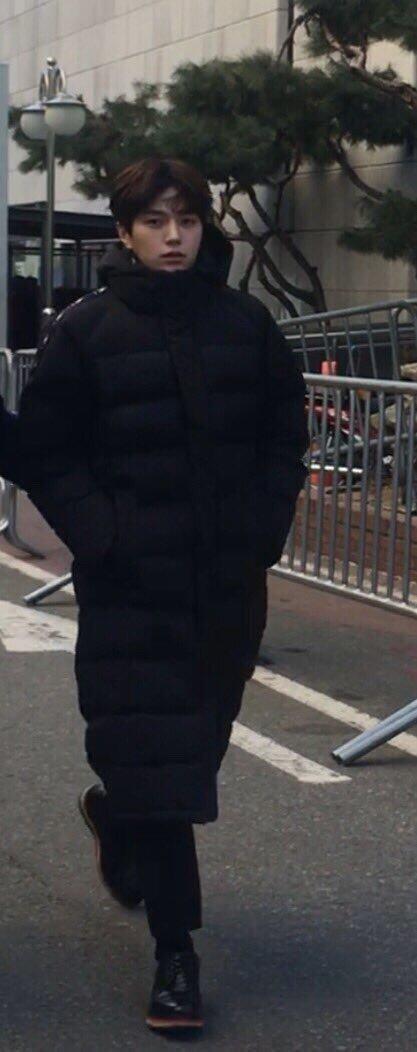 아이돌들