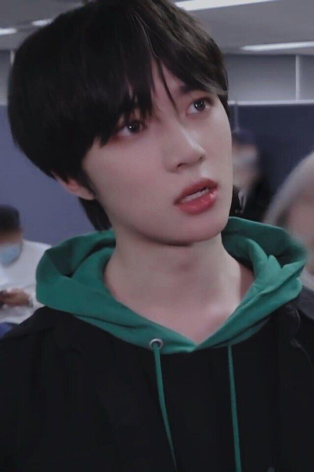 우리애들 사진 투척하고 갈게