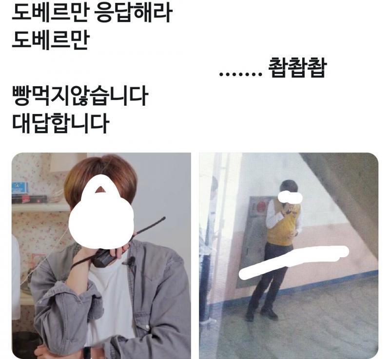 궁금한 게 있는데 아래 사진처럼 이런 알페스들은 괜찮은 거 아니야? 게이소설이나 19소설 이런거 절대 옹호 하는 거 아님 나도 그런 것들 싫어함