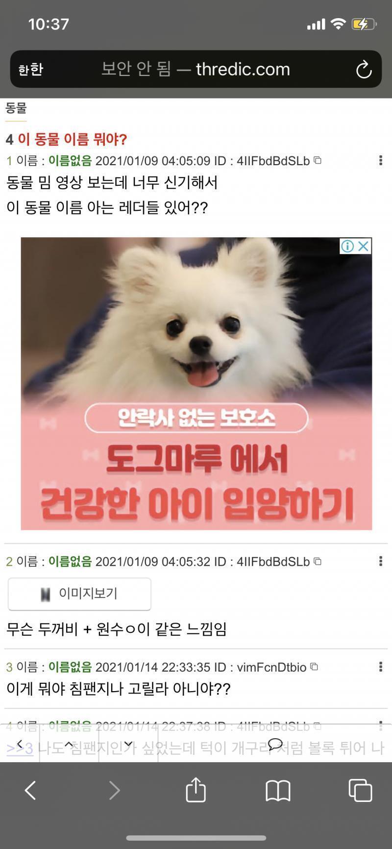 처음에 이 사진떠섴ㅋㅋㅋㅋ 설마 강아지를 모르는 건가? 이럼ㅋㅋㅋㅋ