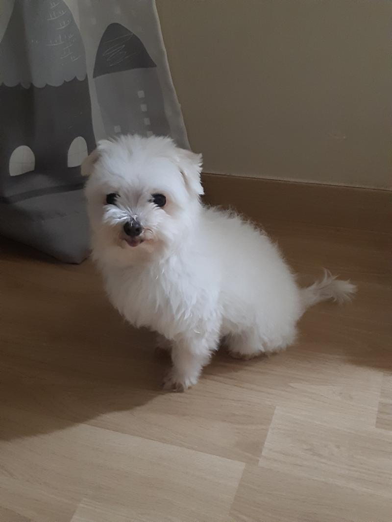 아빠 온다고 알려줬더니 이러구 있오