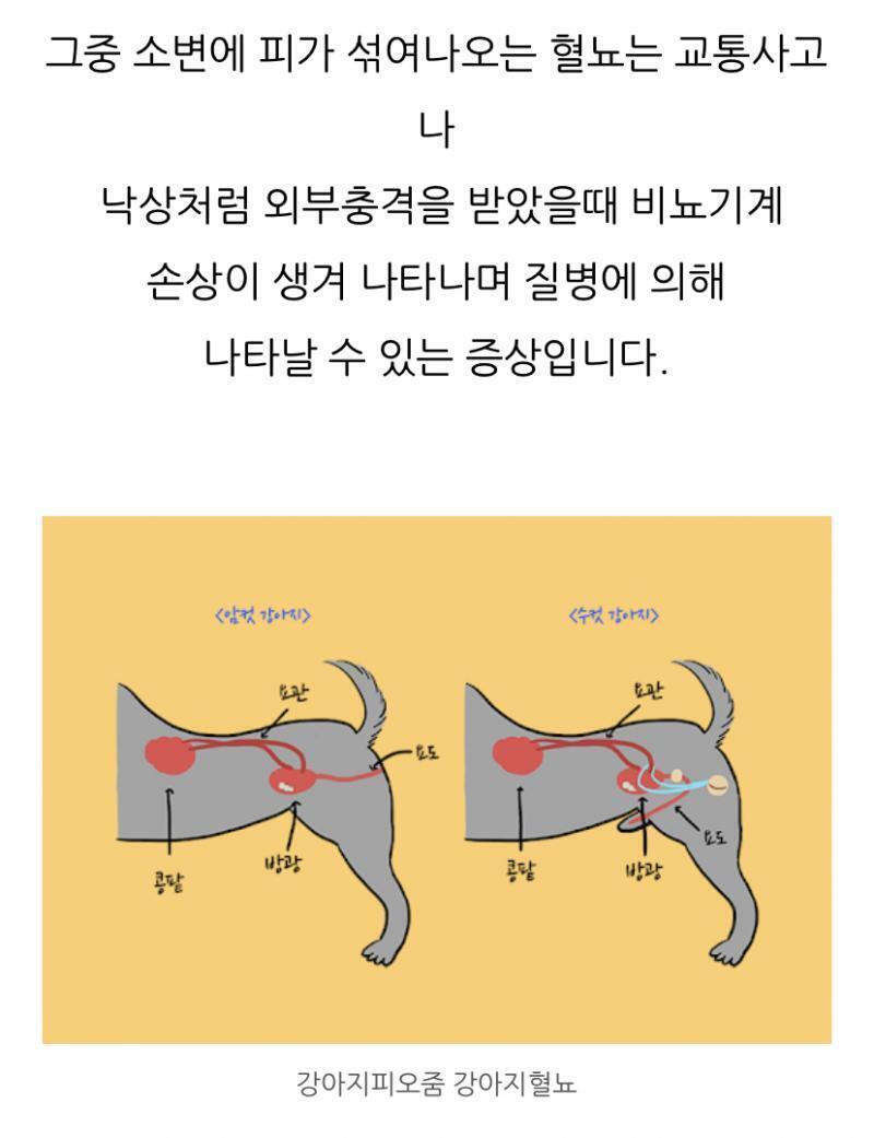 최대한 빨리 병원 가봐야겠다ㅠㅠ 아고 어떡해...