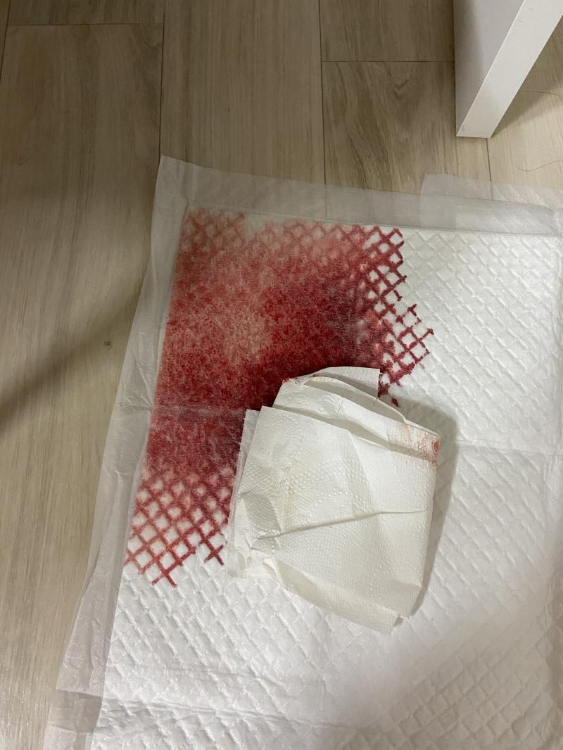 사진 첨부할게