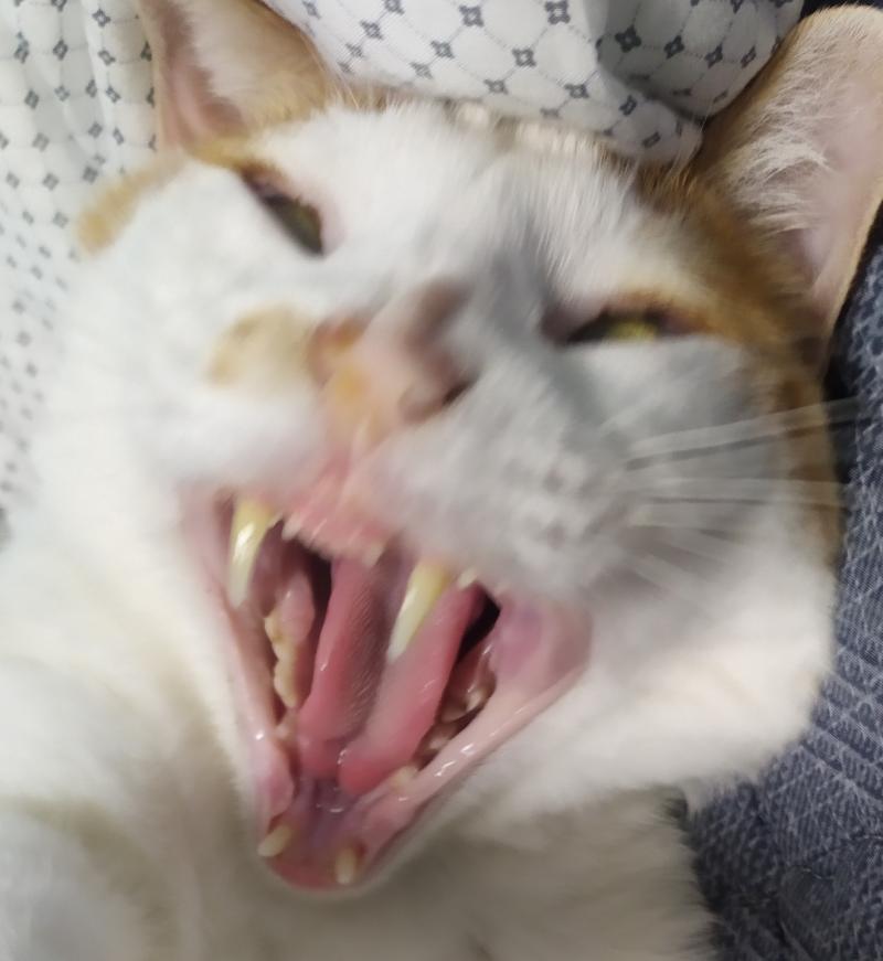 낄낄