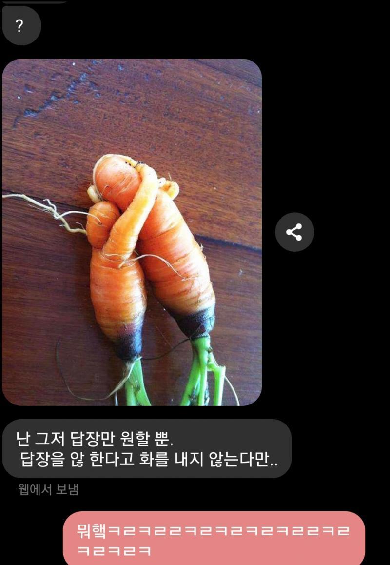 아니 내가 답장 안 해줬더니 이럼...ㅋㅋㅋㅋㅋㅋ
