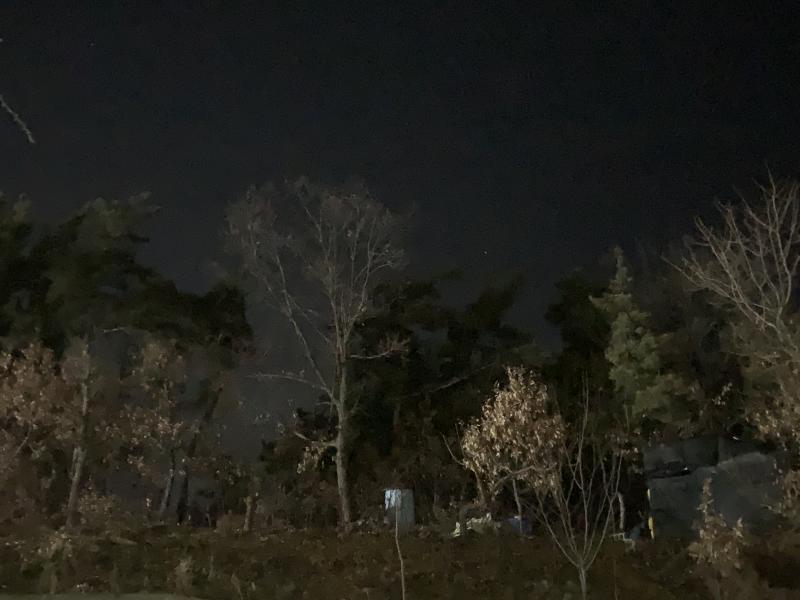 저기 흰색 있는데 옆에서 고라니인지 고양이인지 울음소리거 계속 들리는데 나한테만 들리는건가 무섭다ㅜ진짜 내가 여기와잇는거재