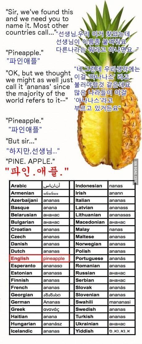 덤으로 파인애플 드립중 하나