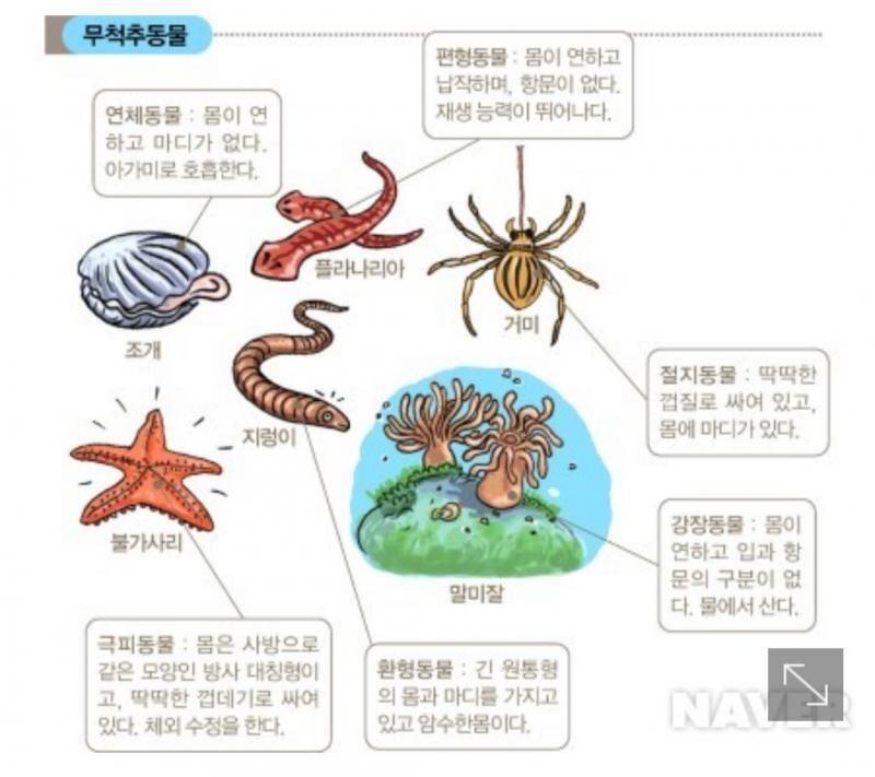 식물 곤충 균류 아니고 하늘을 못 나니까 조류는 아닐 거고 +앗.. 아아.... 그러면 포유류가 아니네 +사진 가져옴 도움이 되려나