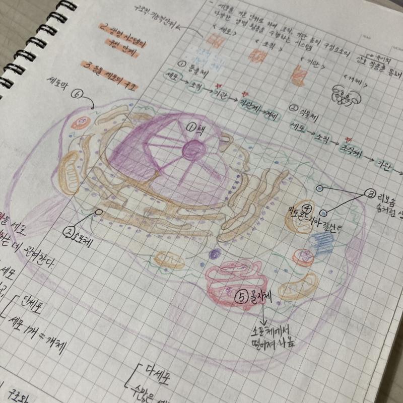 한 번 꼼꼼히 그리고 나면 다 외워져서 평소에도 생명이나 지구는 이렇게 공부해