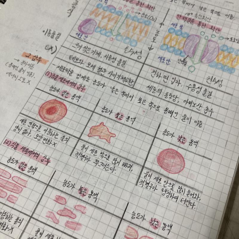 한 번 꼼꼼히 그리고 나면 다 외워져서 평소에도 생명이나 지구는 이렇게 공부해