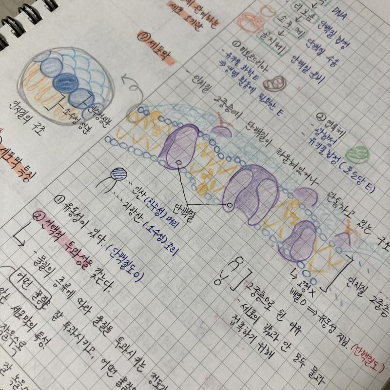 한 번 꼼꼼히 그리고 나면 다 외워져서 평소에도 생명이나 지구는 이렇게 공부해