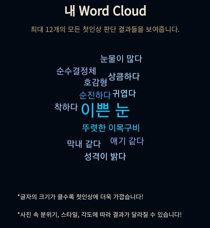 아래에 사진별로 결과 다를 수 있다해서 비슷한 사진으로 하나더 해봤는데 환상의 조합 나왔다ㅎ 꽤나 맞는거 같기두?