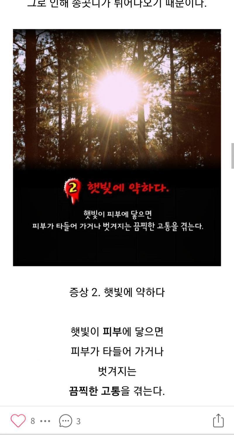 요런거?