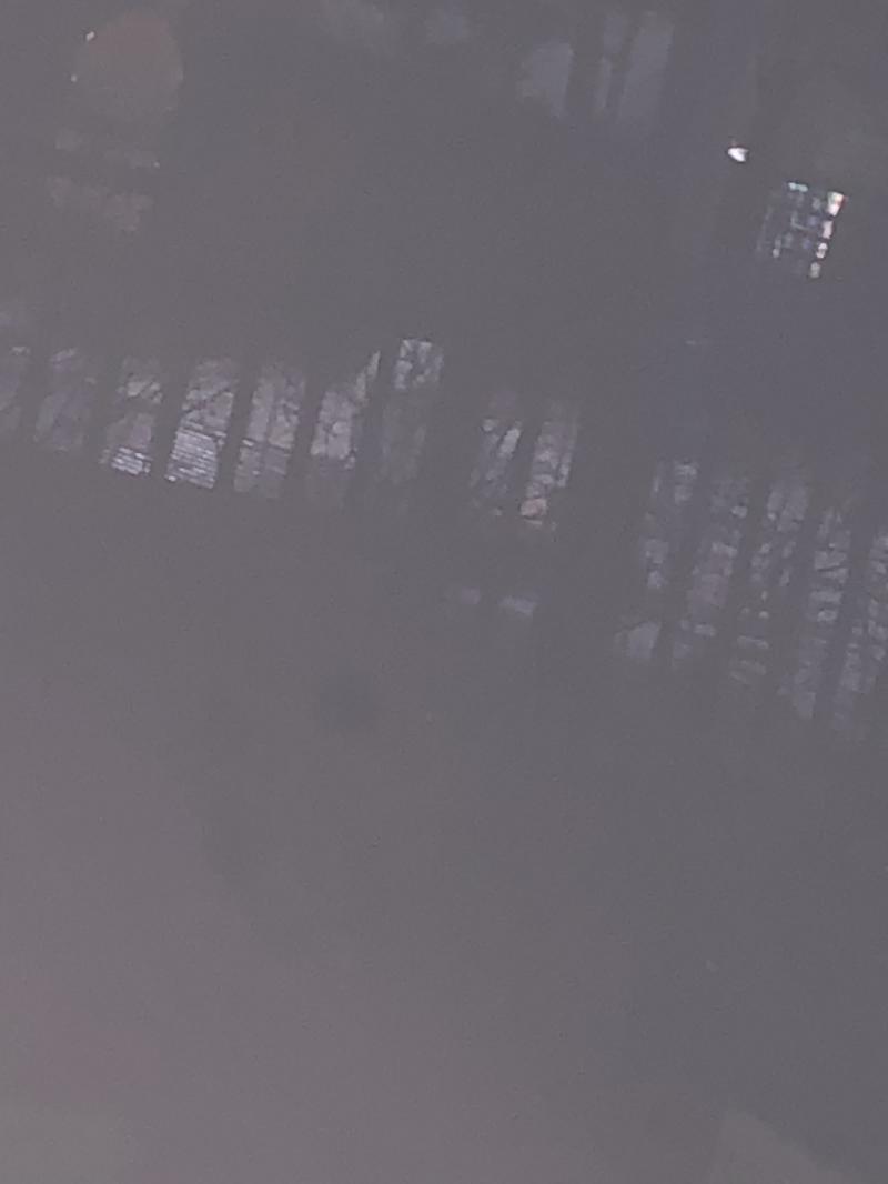 >>552 ㅈㅓ...는 아직 중딩... 갈길이 멀었네요 형님누님덜.... 그런 의미에서 커다란 눈덩이를 찍으려고 했지만 플래쉬가 터져서 눈덩이가