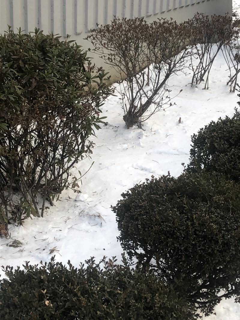 우오ㅓ저기 두개가 학원 끝나고 찍은거고 마지막 멀쩡한 하나가 가기 전에 찍은거야